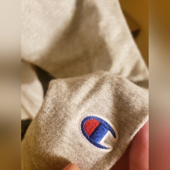 Mens Champion Hoodie - Picture 3 of 5